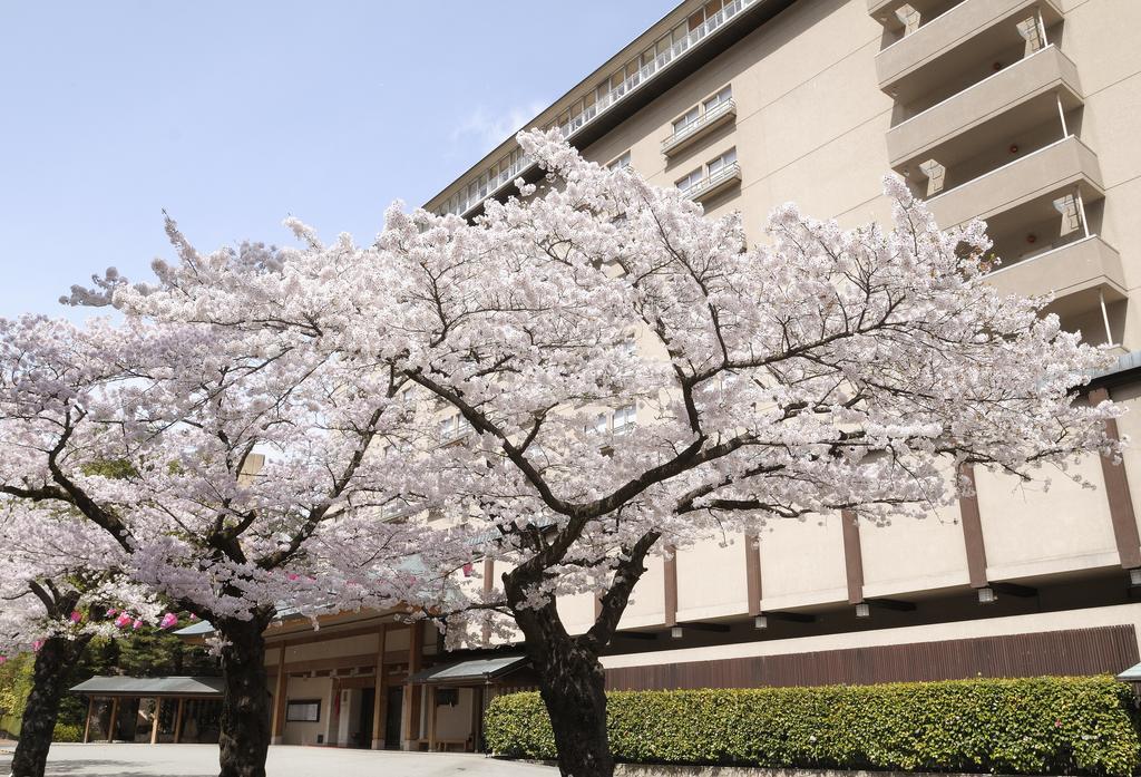 Suimeikan Gero Exterior foto Sakura trees in full bloom